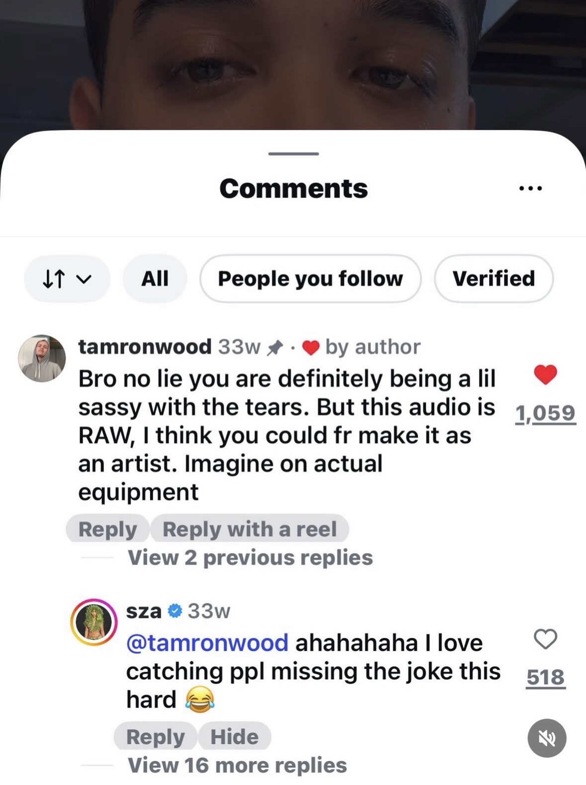 SZA comment receipt preview